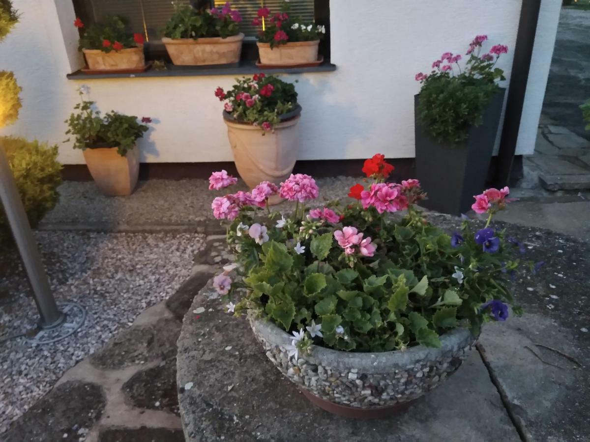 Pension Family Club Libisany Exterior foto